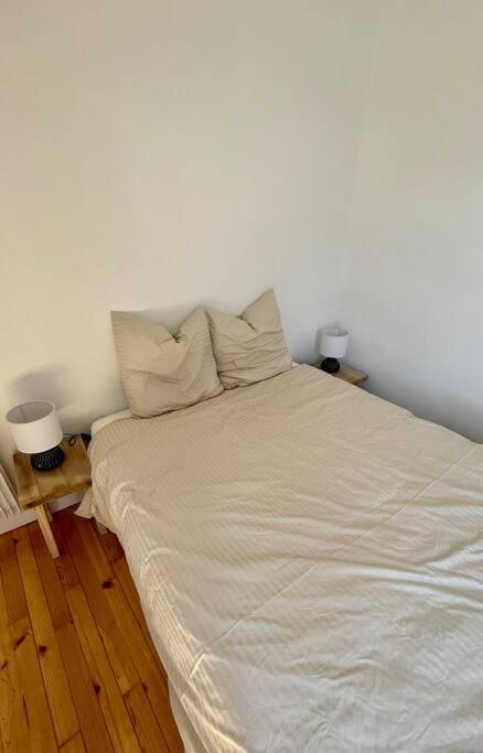 Appartement T3 De Charme Au Centre De Clermont-Ferrand
